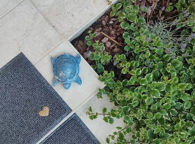 Apartmán s 1 ložnicí